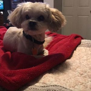 Meet your Posher, Wanda